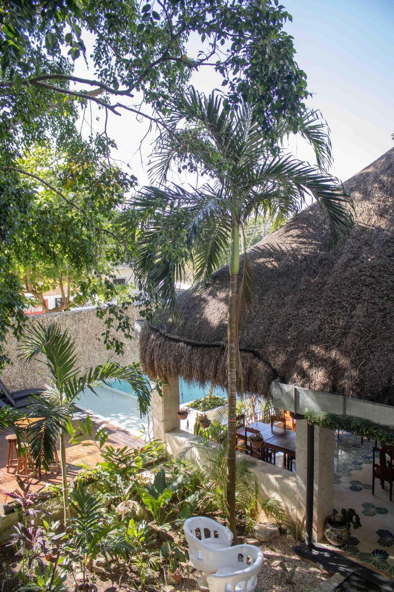 Hotel Nojoch Che Cobá Zewnętrze zdjęcie