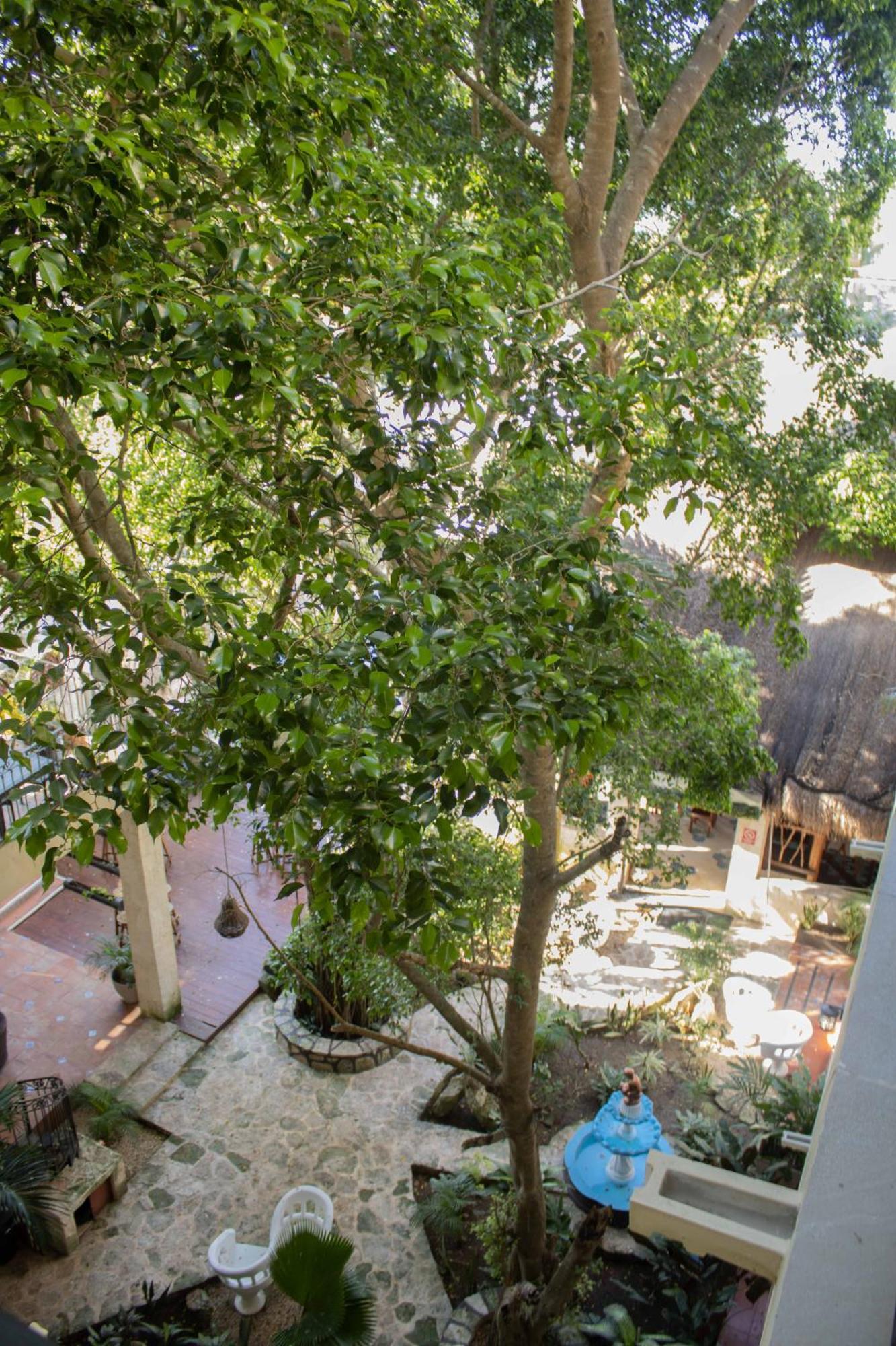 Hotel Nojoch Che Cobá Zewnętrze zdjęcie